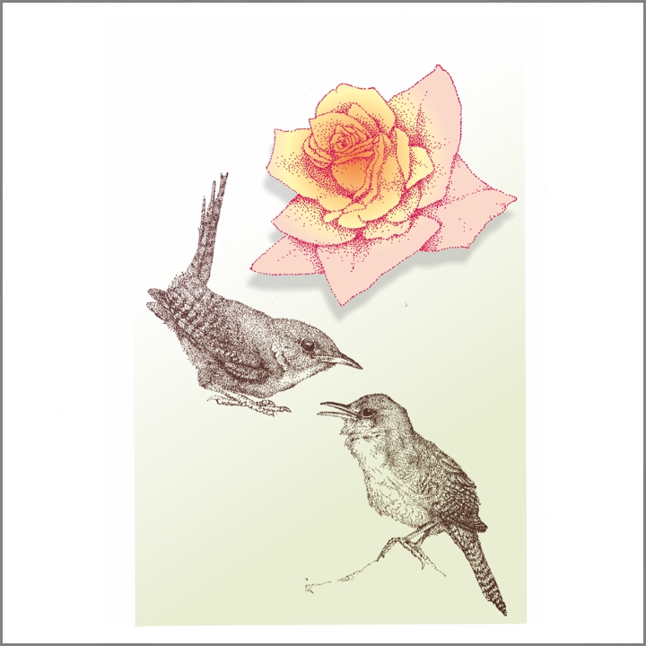 2020 Winterkoninkjes en roos.jpg